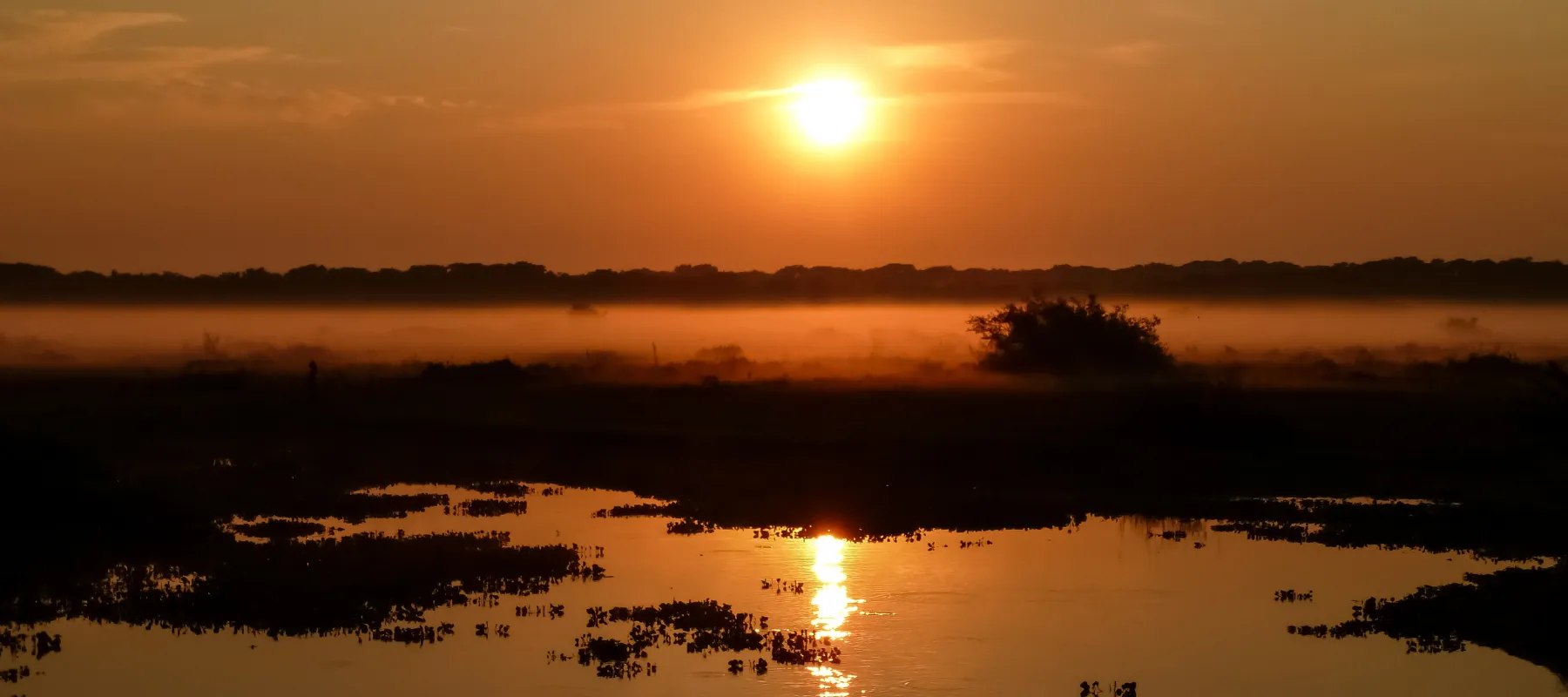 Pantanal wetlands at golden hour