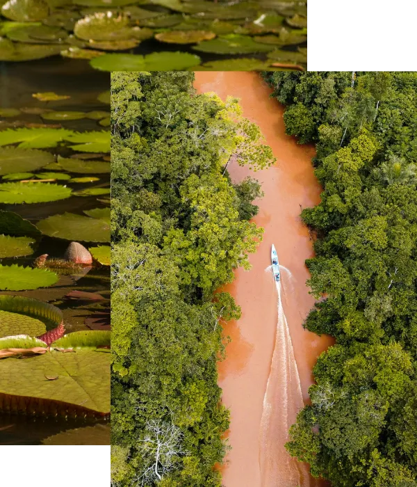 Amazonas Luxus